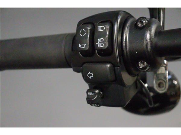 2024 HARLEY-DAVIDSON SOFTAIL FXFBS FAT BOB 114