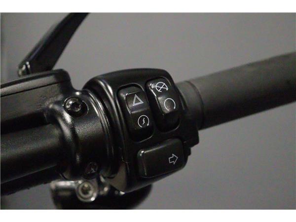 2024 HARLEY-DAVIDSON SOFTAIL FXFBS FAT BOB 114