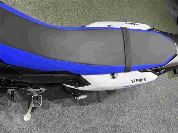 2025 Yamaha Tenere 700 Blue