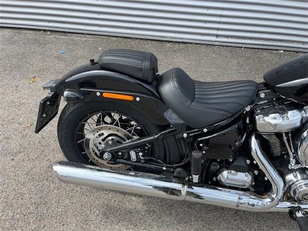 2025 Harley-Davidson Softail Street Bob FXBB