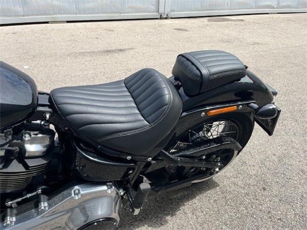 2025 Harley-Davidson Softail Street Bob FXBB