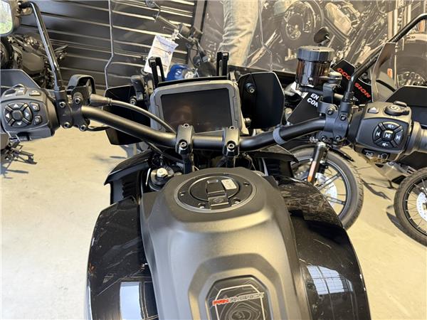 2021 HARLEY-DAVIDSON PAN AMERICA