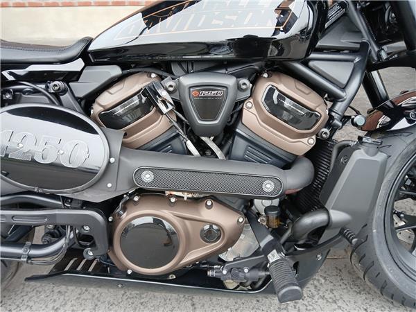 2022 HARLEY-DAVIDSON SPORTSTER 1250