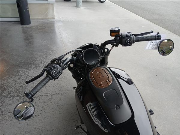 2022 HARLEY-DAVIDSON SPORTSTER 1250