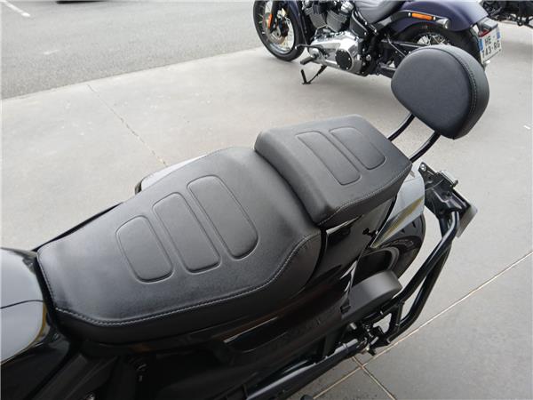 2022 HARLEY-DAVIDSON SPORTSTER 1250