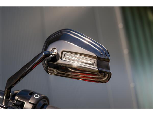 2025 Harley-Davidson Road King Special