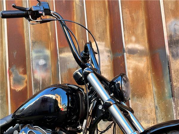 2014 Harley-Davidson Softail