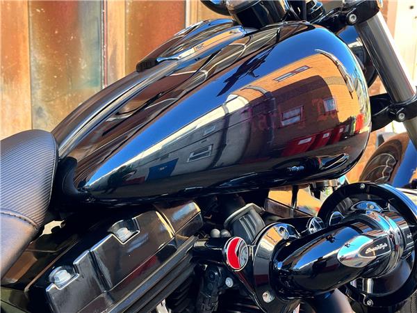 2014 Harley-Davidson Softail