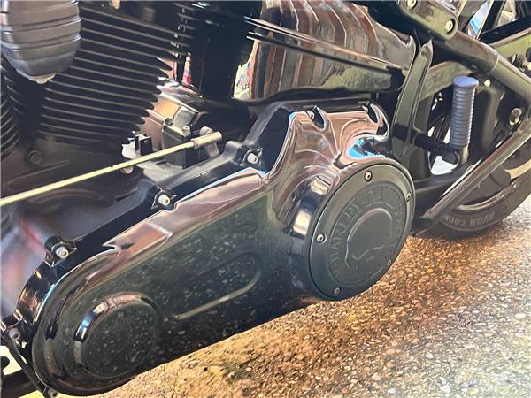 2014 Harley-Davidson Softail