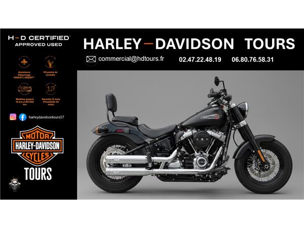 2020 HARLEY-DAVIDSON SLIM