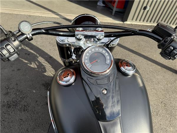 2020 HARLEY-DAVIDSON SLIM