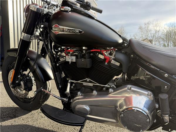 2020 HARLEY-DAVIDSON SLIM