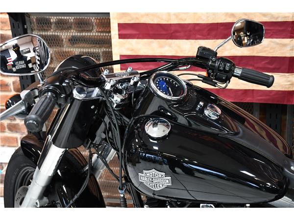 2013 HARLEY-DAVIDSON SOFTAIL SLIM