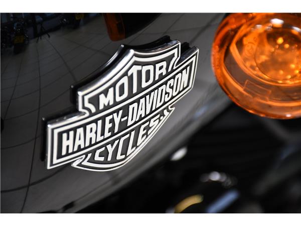2013 HARLEY-DAVIDSON SOFTAIL SLIM