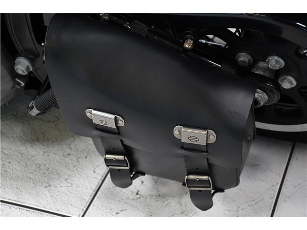 2013 HARLEY-DAVIDSON SOFTAIL SLIM