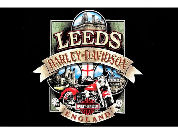 2013 HARLEY-DAVIDSON SOFTAIL SLIM