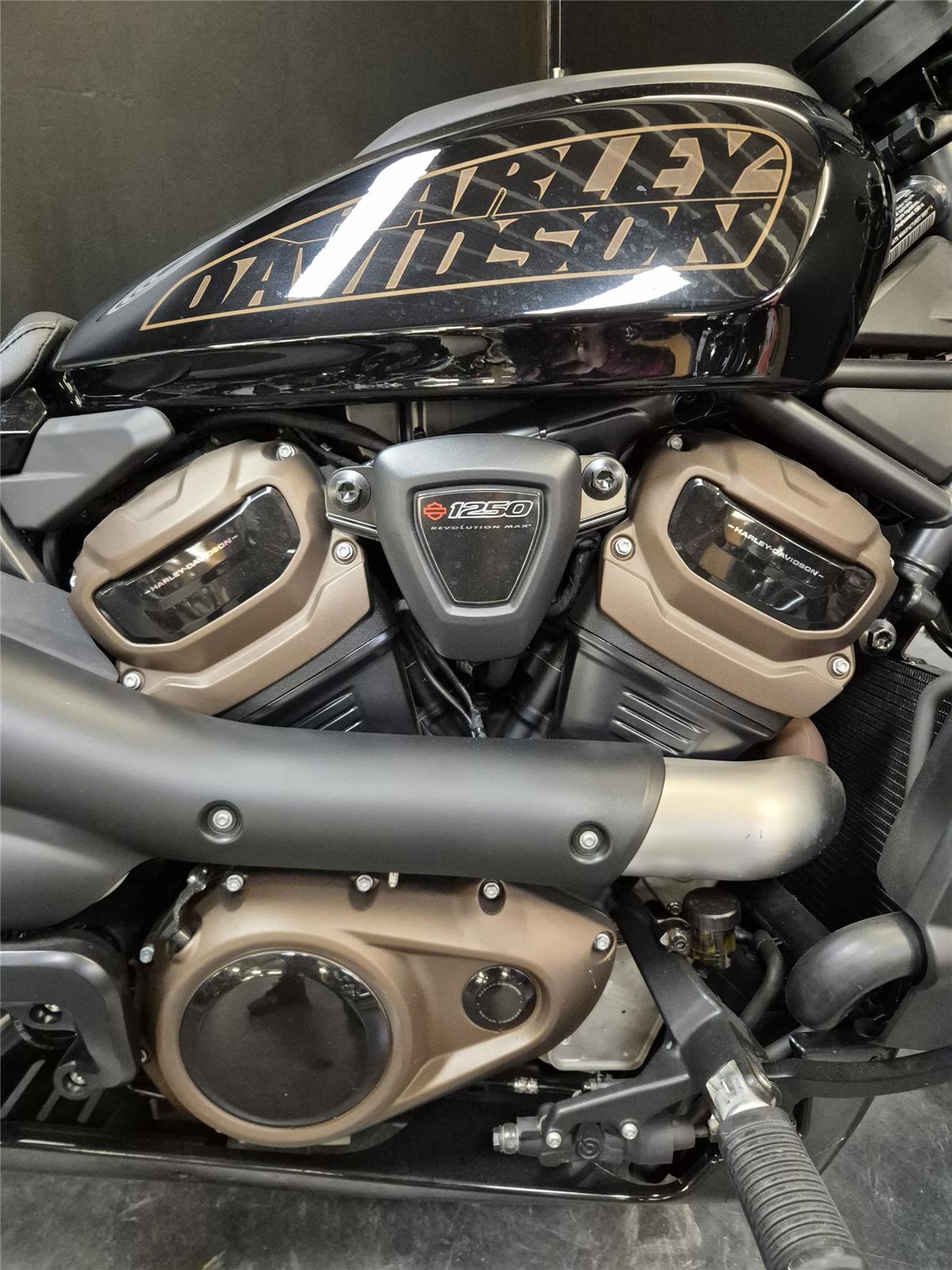 2021 HARLEY-DAVIDSON SPORTSTER 1250