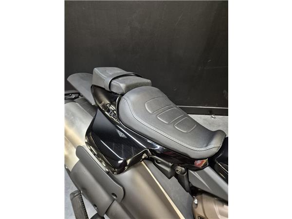 2021 HARLEY-DAVIDSON SPORTSTER 1250