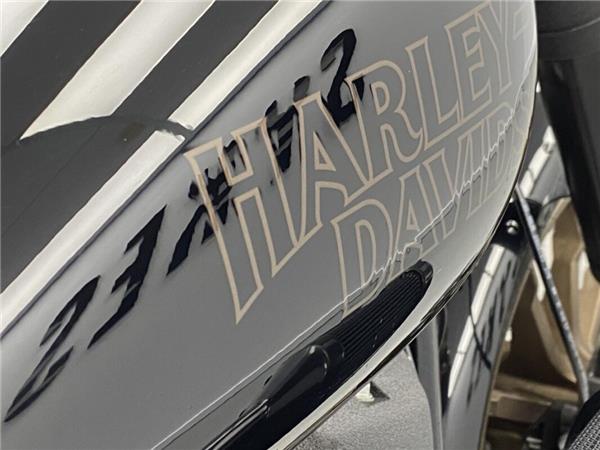 2024 Harley-Davidson Low Rider S