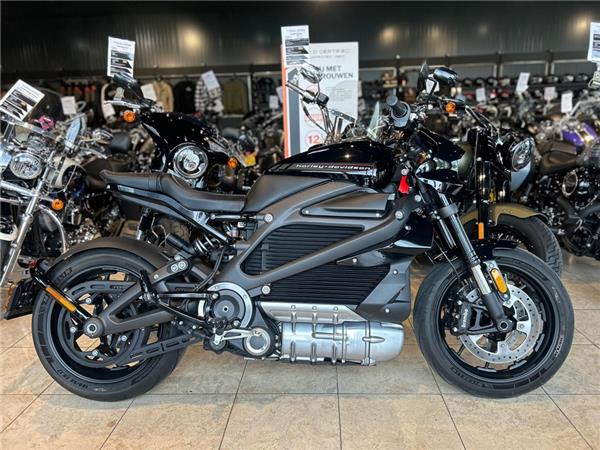 2020 Harley-Davidson EWL LIVEWIRE
