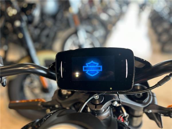 2020 Harley-Davidson EWL LIVEWIRE