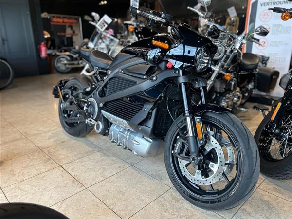 2020 Harley-Davidson EWL LIVEWIRE
