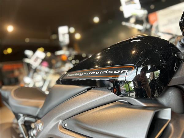 2020 Harley-Davidson EWL LIVEWIRE