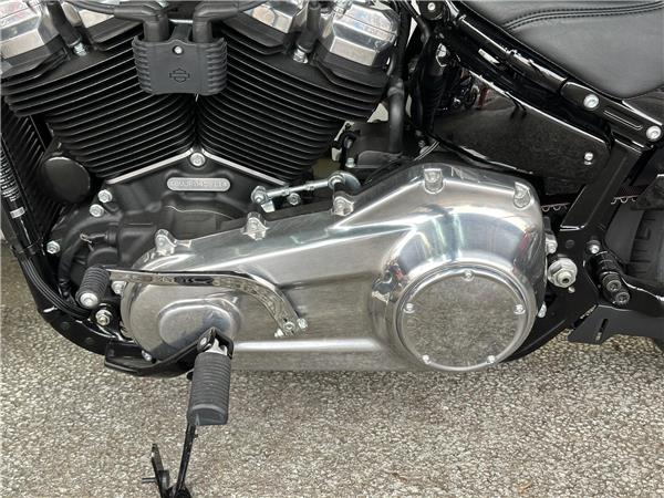 2024 Harley-Davidson Softail