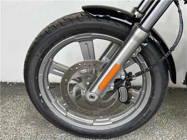 2024 Harley-Davidson Softail