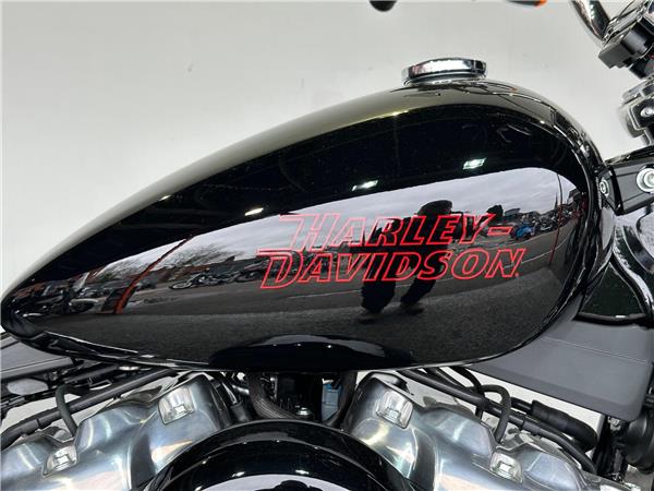 2024 Harley-Davidson Softail