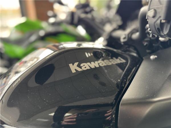 2025 Kawasaki Versys 1100