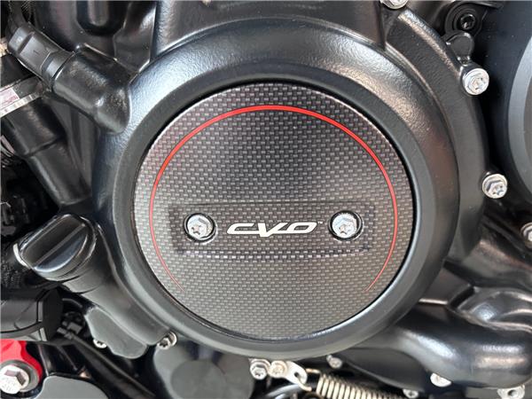 2024 HARLEY-DAVIDSON ADVENTURE TOURING RA1250SE PAN AMERICA CVO