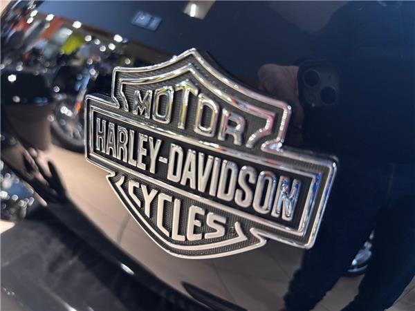 2025 HARLEY-DAVIDSON TOURING FLHRXS ROAD KING SPECIAL