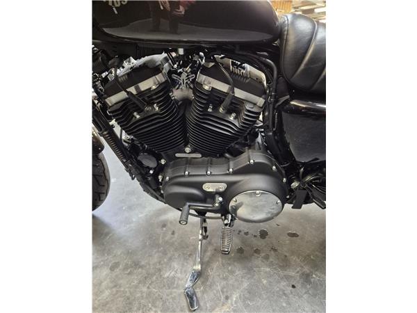 2020 HARLEY-DAVIDSON IRON