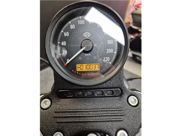 2020 HARLEY-DAVIDSON IRON