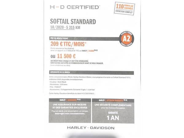 2020 HARLEY-DAVIDSON STANDARD