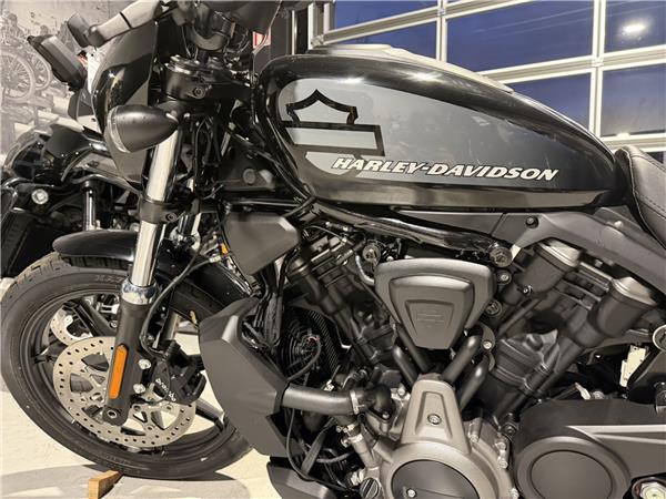 2024 HARLEY-DAVIDSON NIGHTSTER