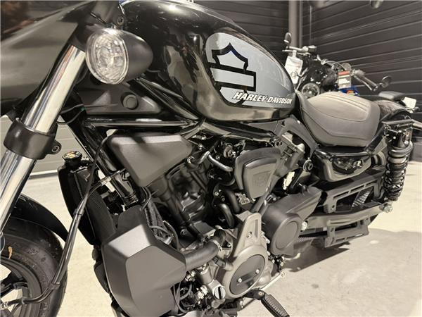 2024 HARLEY-DAVIDSON NIGHTSTER