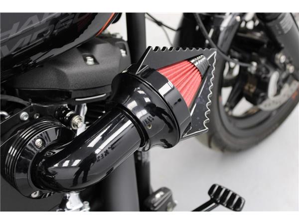 2019 Harley-Davidson FXDR 114