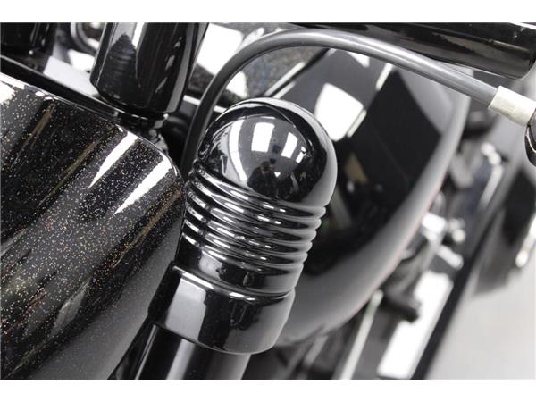 2019 Harley-Davidson FXDR 114