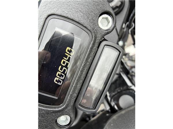 2022 HARLEY-DAVIDSON LOW RIDER