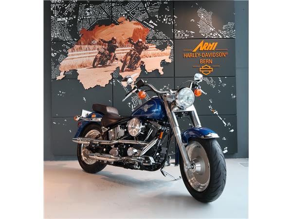 1993 harley-davidson FLSTF Fat Boy