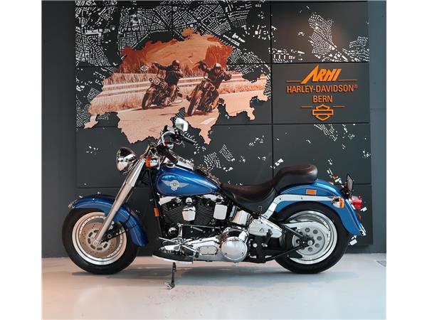 1993 harley-davidson FLSTF Fat Boy