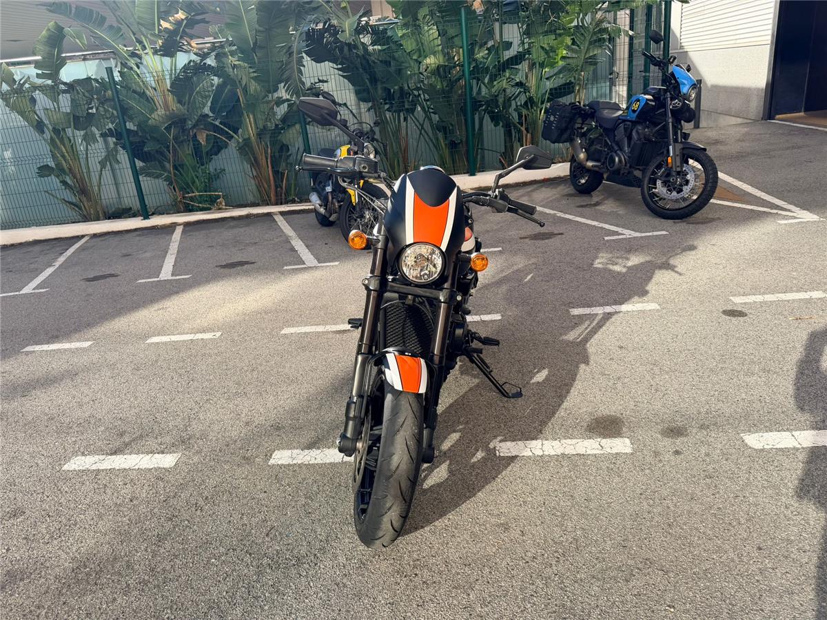 STREET ROD 750 – 2019