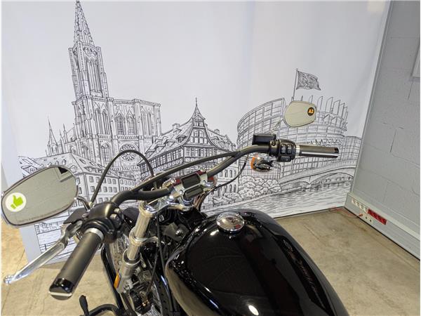 2021 HARLEY-DAVIDSON STANDARD