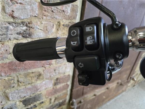 2023 Harley-Davidson Softail