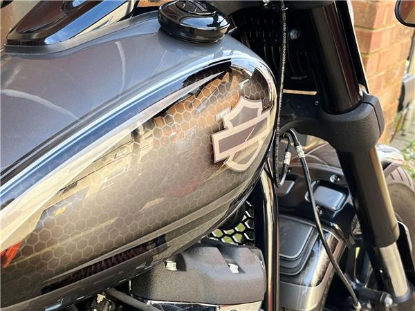 2021 Harley-Davidson Softail