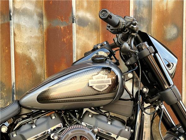 2021 Harley-Davidson Softail