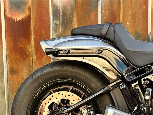 2021 Harley-Davidson Softail