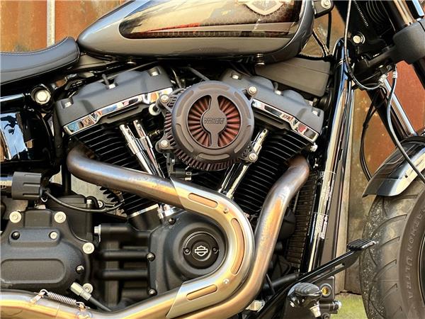 2021 Harley-Davidson Softail